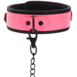 Glow Collar and Chain Leash